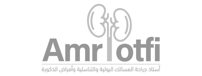 Dr.Amro Lotfi